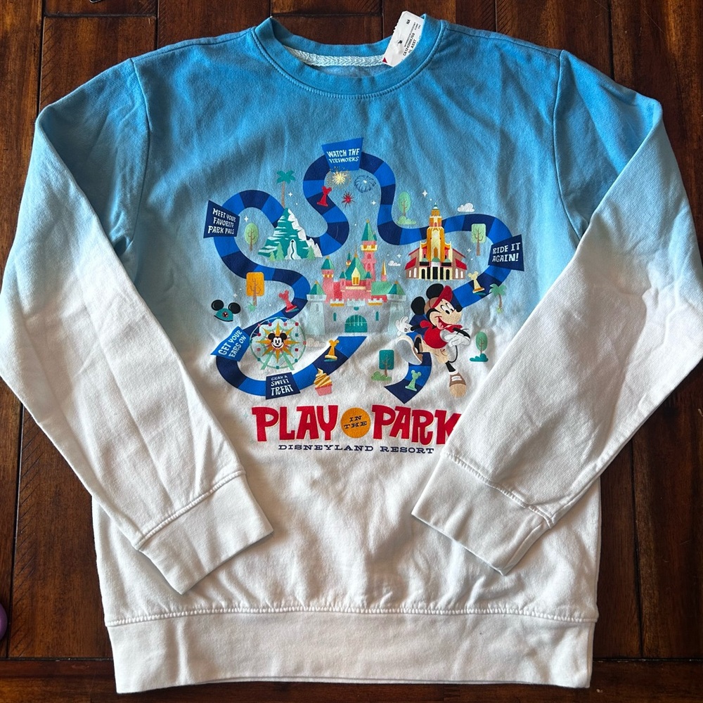 Disney Parks Sweatshirt